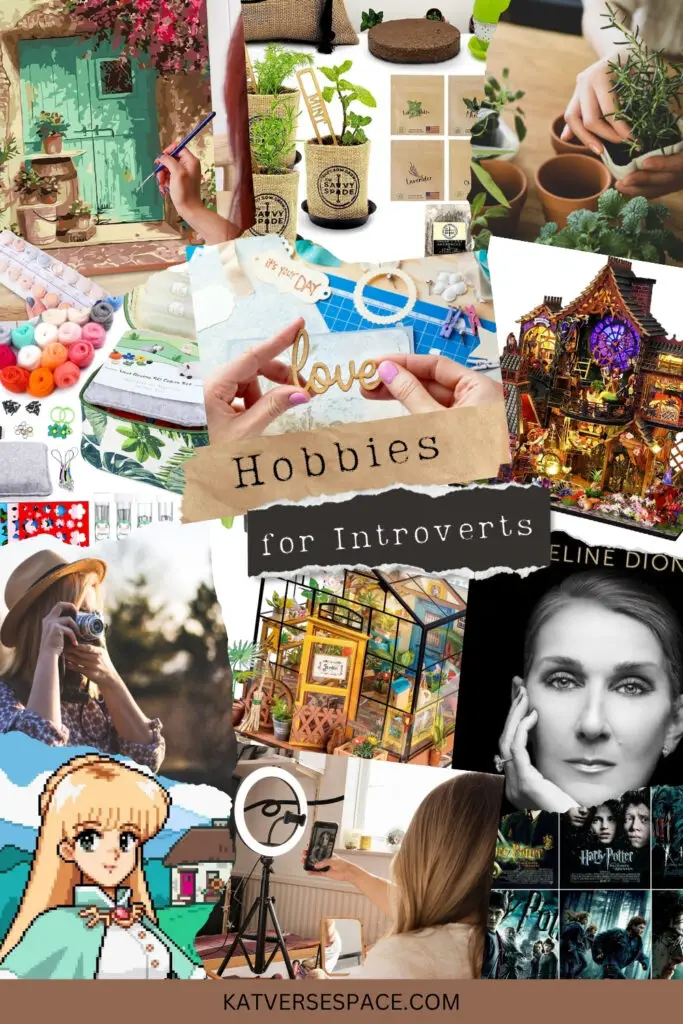 Hobbies for Introverts